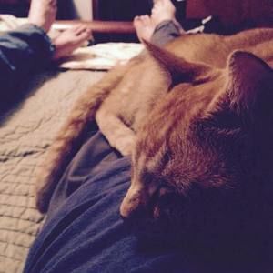 Meet your Posher, Nicole